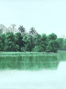 Cuban Art
