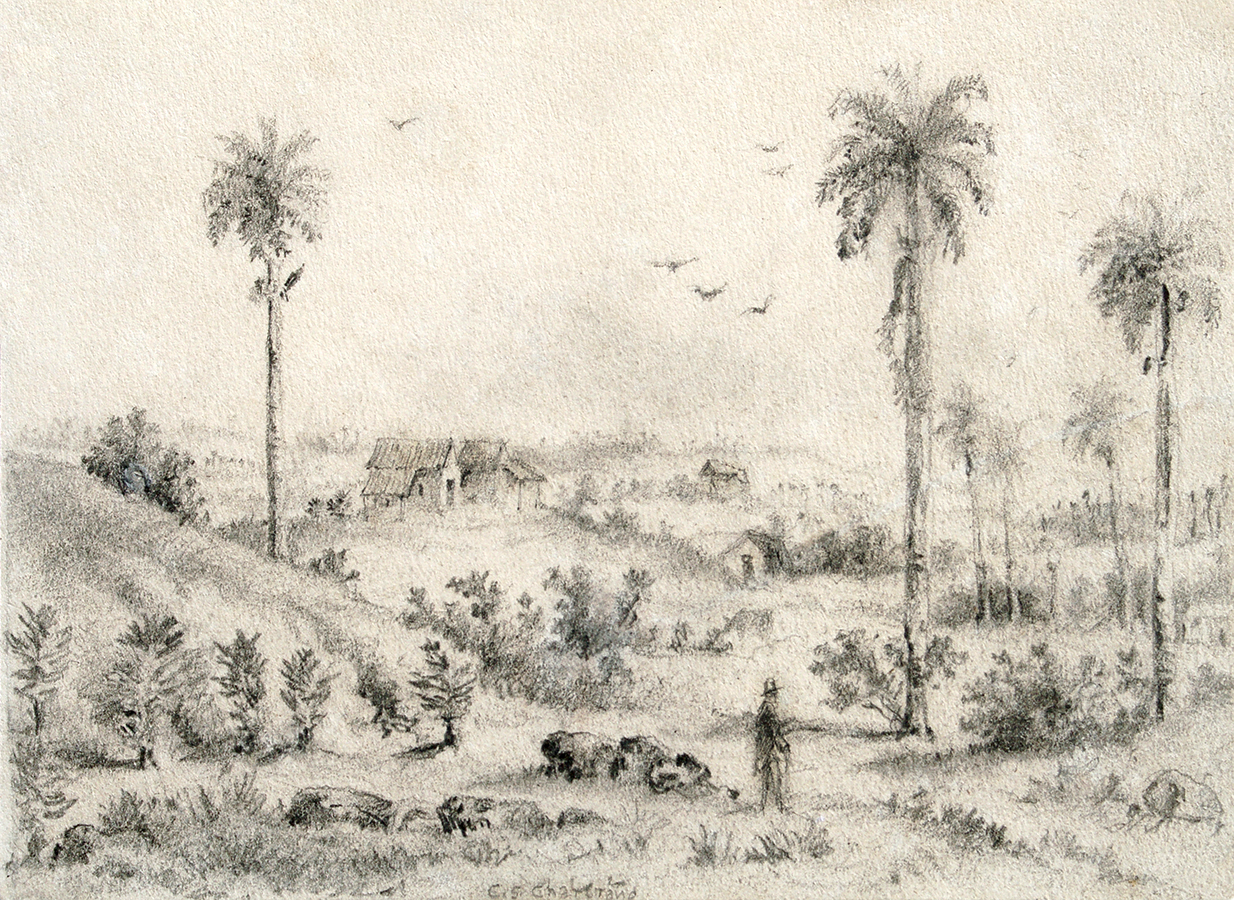 Country Scene with Palm Trees and Figure <br>
<i>(Escena Campestre con Palmas y Figura)</i> by Esteban Chartrand
