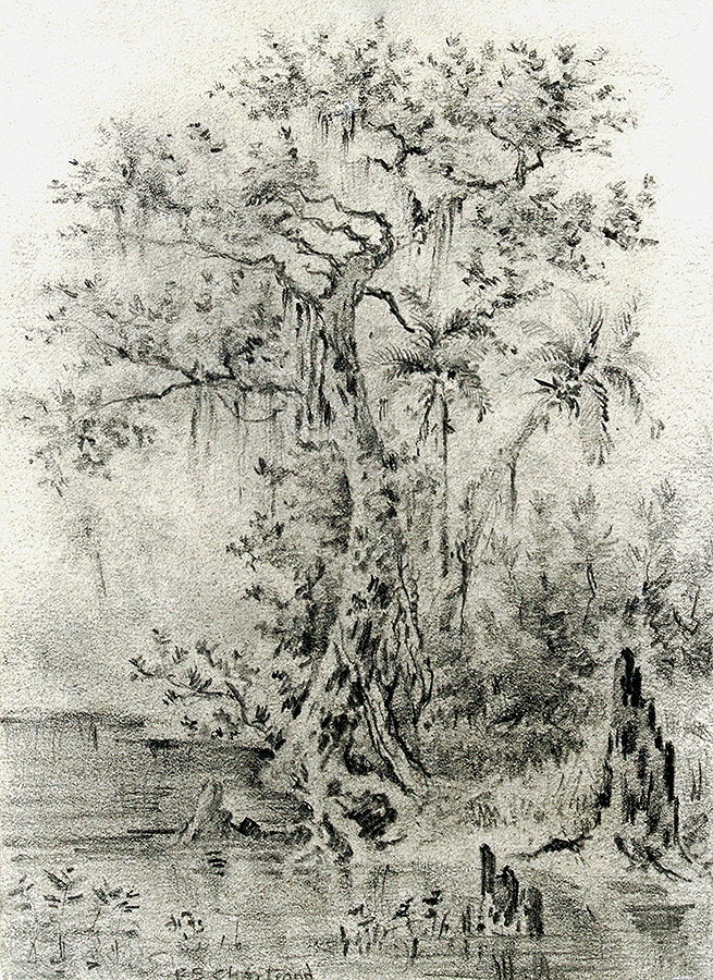 The Ceiba Tree <br>
<i>(La Ceiba)</i> by Esteban Chartrand
