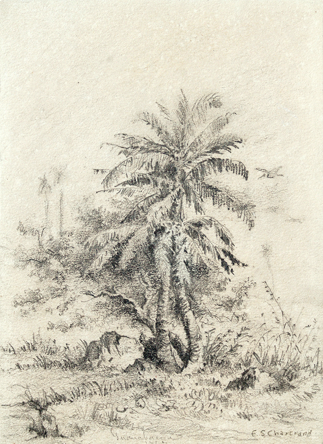 Palms in Guanabacoa <br>
<i>(Palmas en Guanabacoa)</i> by Esteban Chartrand