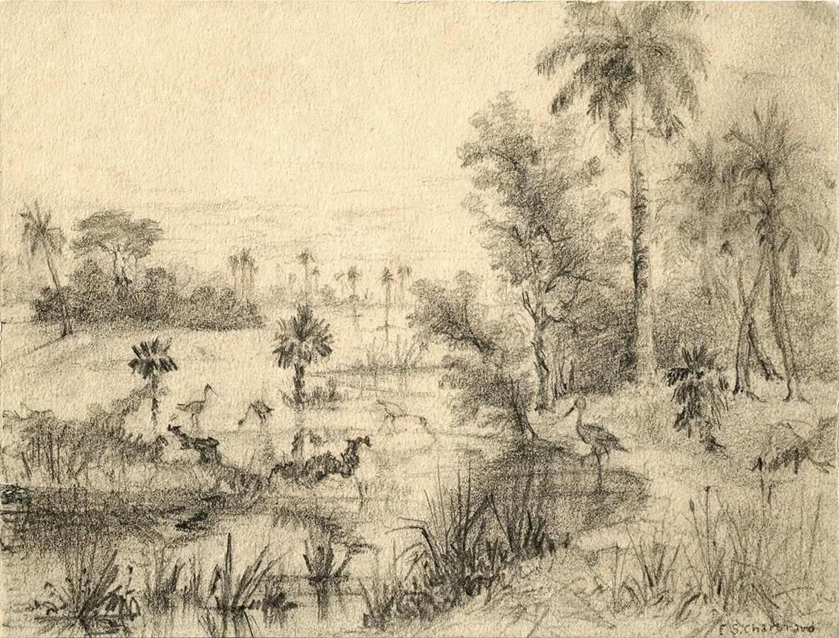 Landscape with River Bank <br>
<i>(Paisaje con Ribera)</i> by Esteban Chartrand
