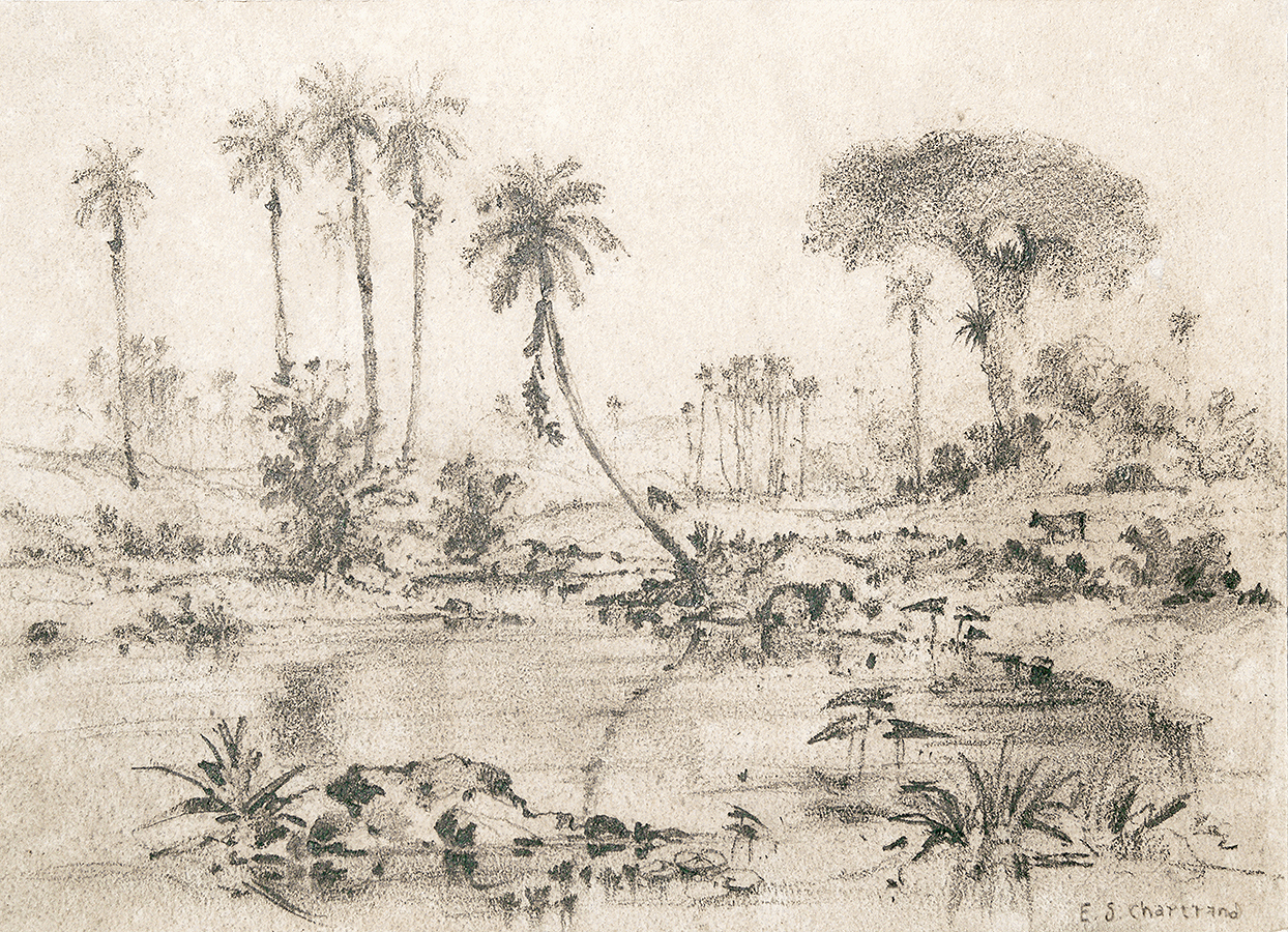 Palms, River and Tree <br>
<i>(Palmas, Ro y Arbol)</i> by Esteban Chartrand