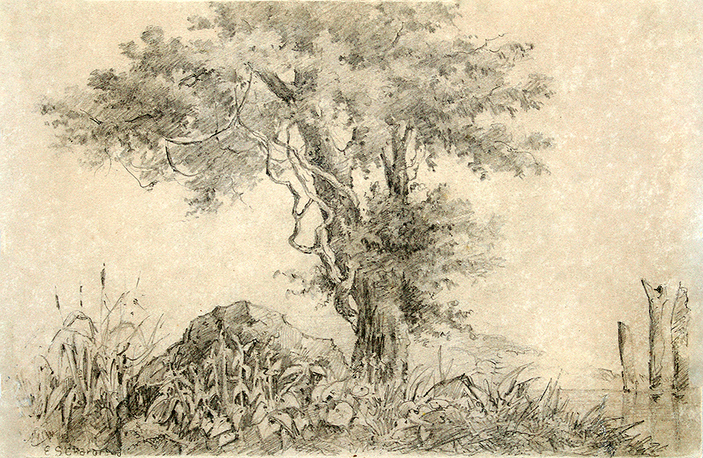 The Large Tree <br>
<i>(El Gran Arbol)</i> by Esteban Chartrand