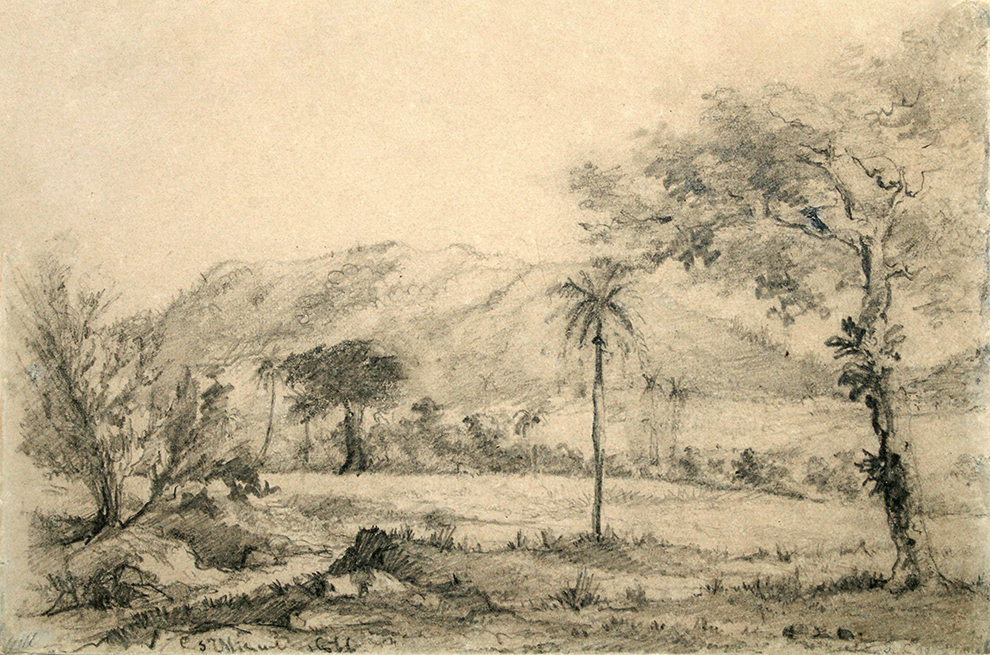 Hilly Cuban Landscape <br>
<i>(Paisaje Cubano con Lomas)</i> by Esteban Chartrand