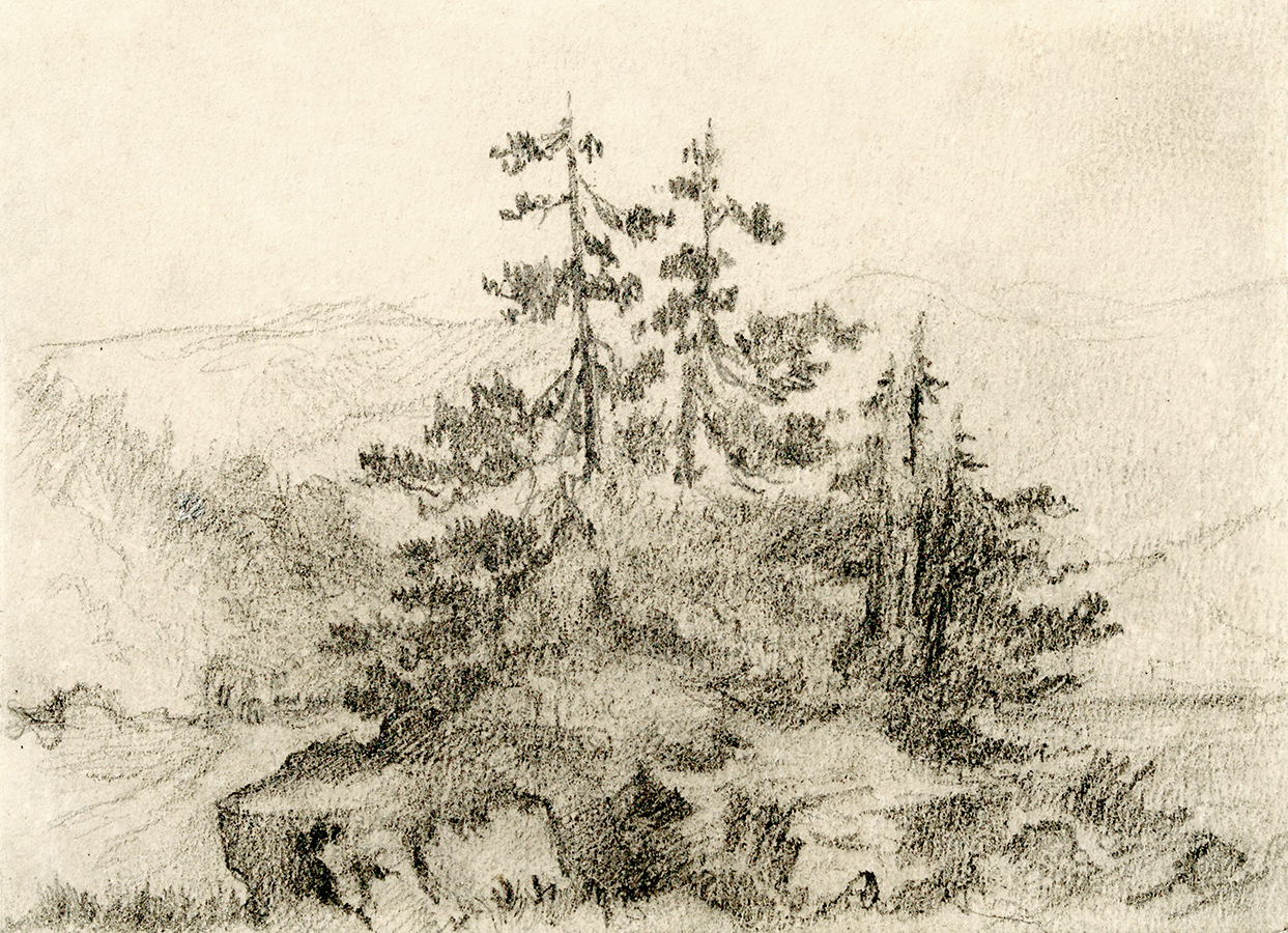 Study of Pines <br>
<i>(Estudio de Pinos)</i> by Esteban Chartrand