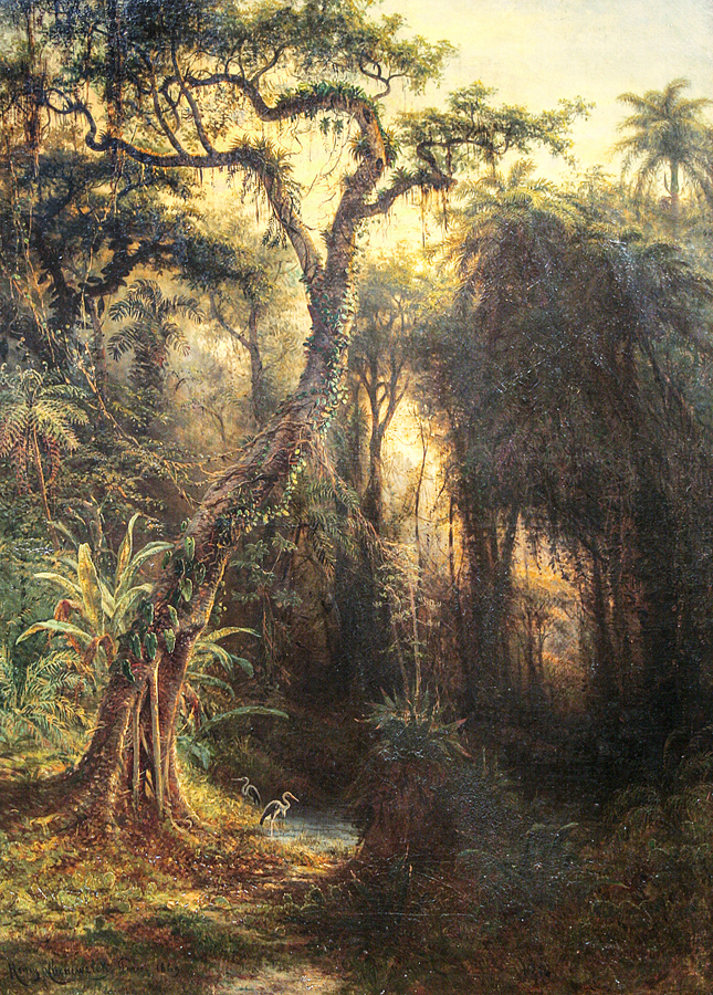 Rainforest above Santiago de Cuba <br>
<i>(Bosque Tropical en Santiago de Cuba)</i> by Henry Cleenewerck