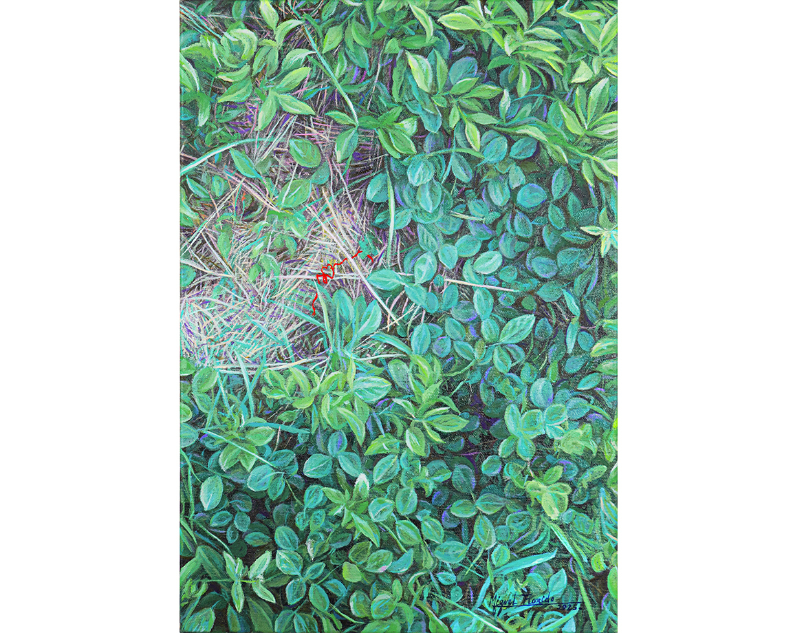 Cuban Art Miguel Florido