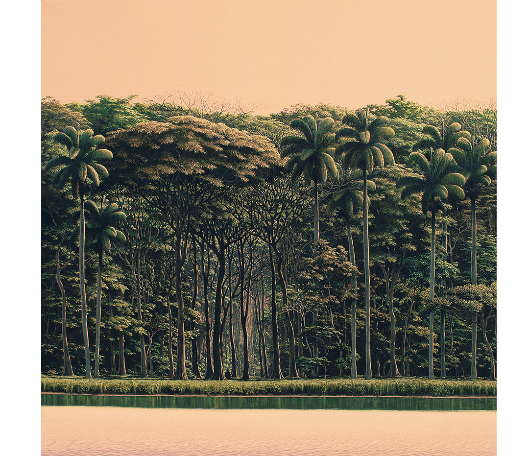 Cuban Art Tomás Sánchez