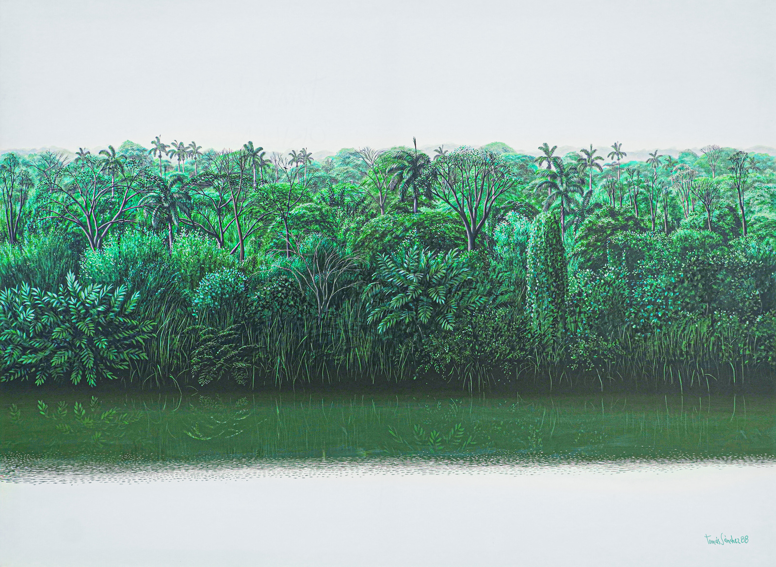 Cuban Art Tomás Sánchez