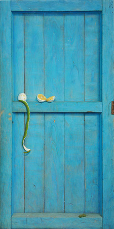 Miguel Florido<br> Viviré en tu Recuerdo</br> (<i>I Will Live in Your Memory</i>), 2006-2012<br> oil on canvas</br> 78 x 39 ¼ inches